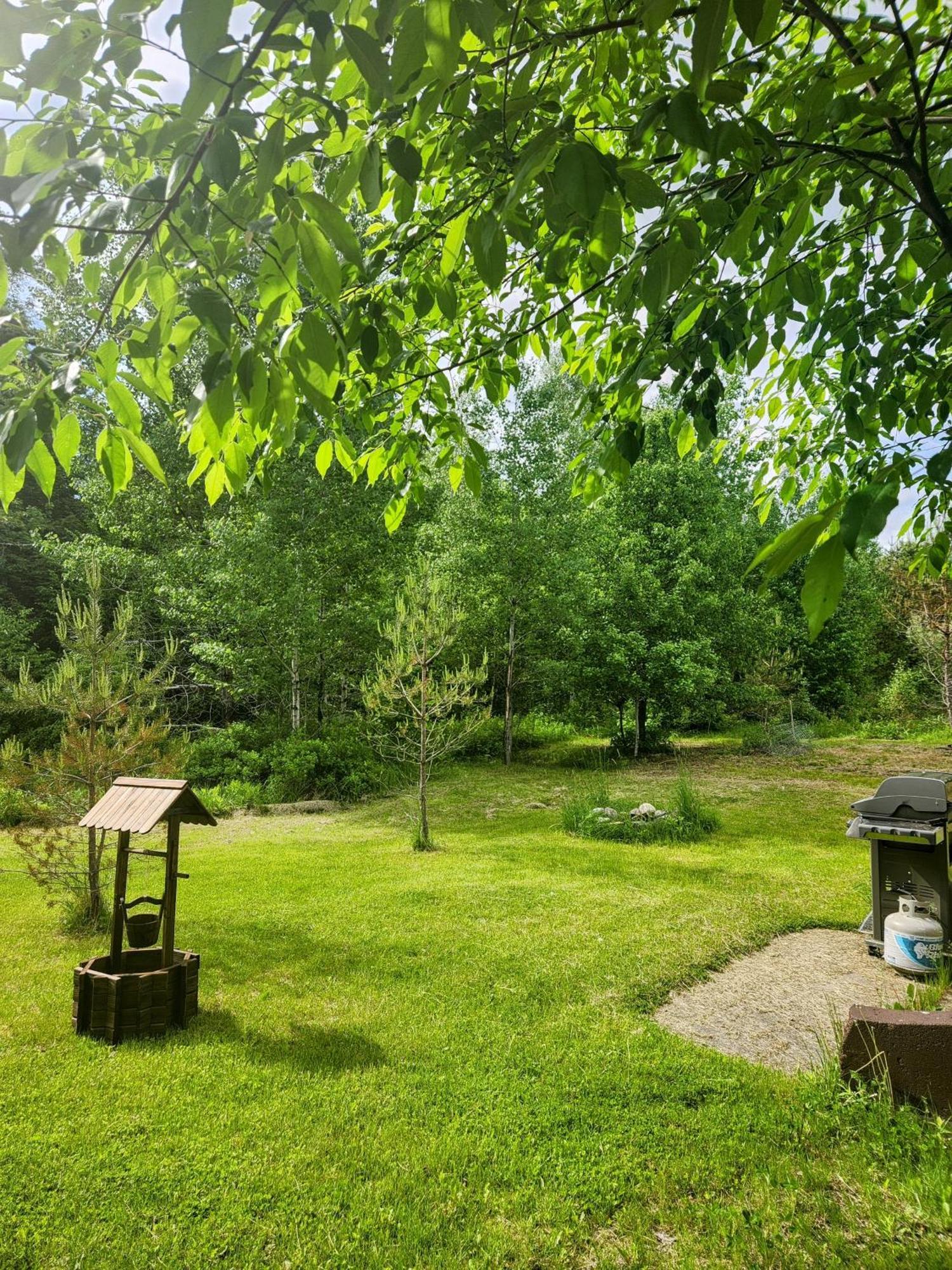 Backyard Bliss In The White Mountains Βίλα Λίνκολν Εξωτερικό φωτογραφία