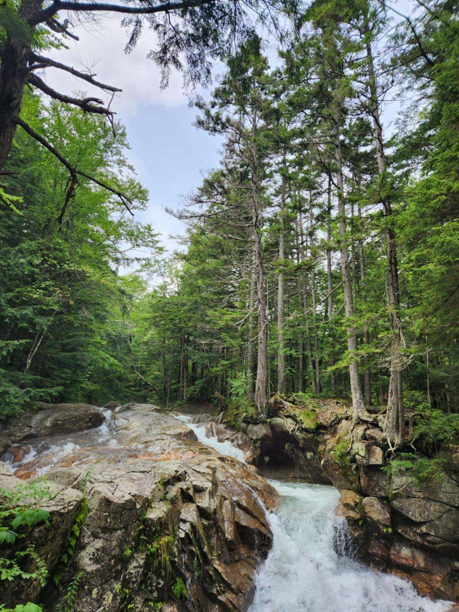 Backyard Bliss In The White Mountains Βίλα Λίνκολν Εξωτερικό φωτογραφία